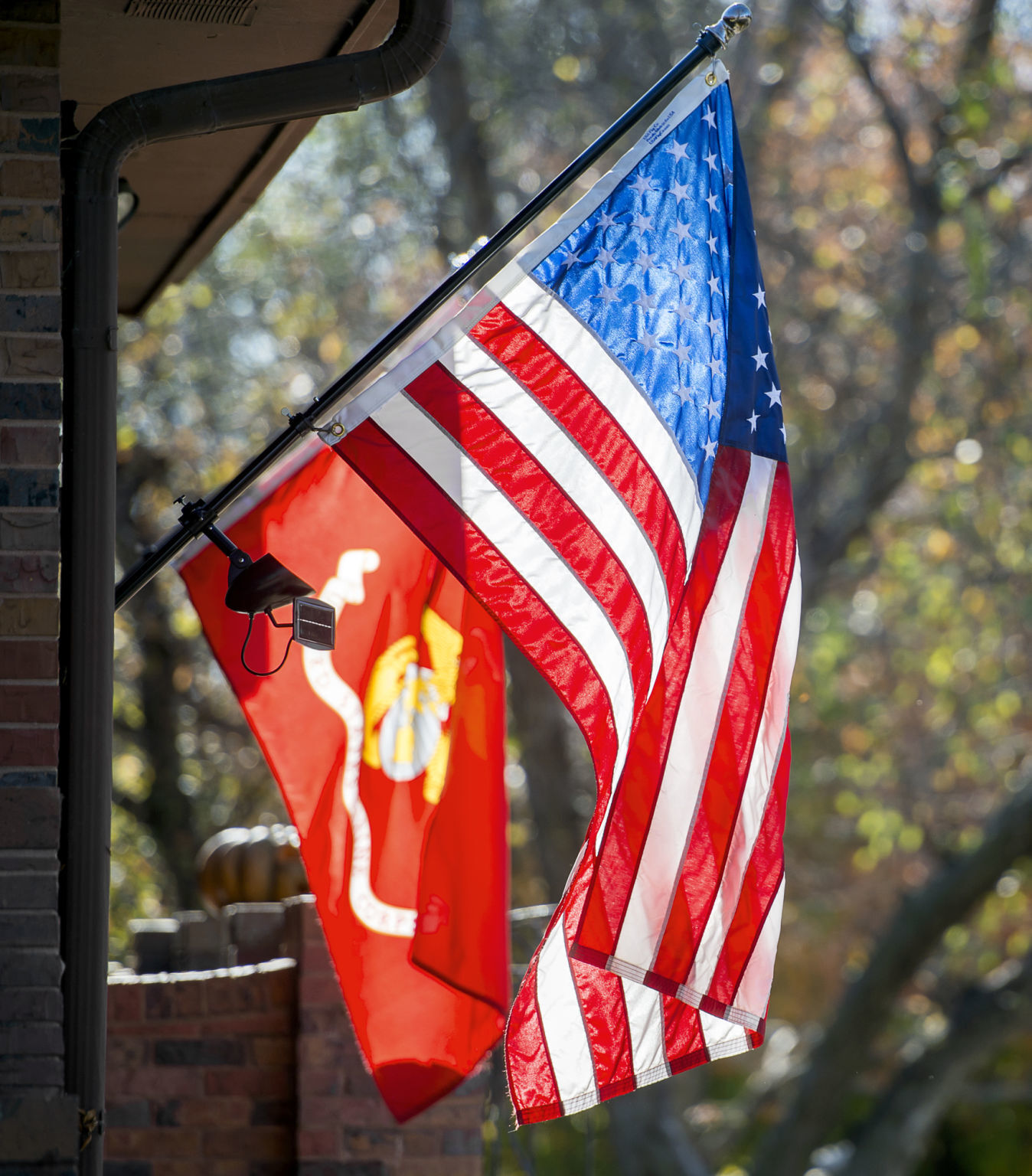 Flag